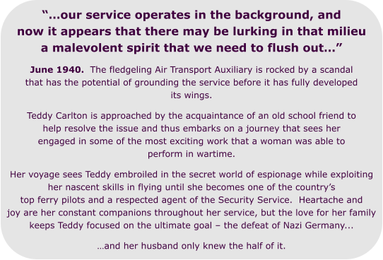 “…our service operates in the background, and now it appears that there may be lurking in that milieu a malevolent spirit that we need to flush out…” June 1940.  The fledgeling Air Transport Auxiliary is rocked by a scandal that has the potential of grounding the service before it has fully developed its wings.  Teddy Carlton is approached by the acquaintance of an old school friend to help resolve the issue and thus embarks on a journey that sees her engaged in some of the most exciting work that a woman was able to perform in wartime. Her voyage sees Teddy embroiled in the secret world of espionage while exploiting her nascent skills in flying until she becomes one of the country’s top ferry pilots and a respected agent of the Security Service.  Heartache and joy are her constant companions throughout her service, but the love for her family keeps Teddy focused on the ultimate goal – the defeat of Nazi Germany... …and her husband only knew the half of it.